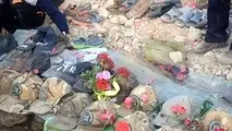 نظارت و کنترل؛ اصل فراموش شده در ایمنی حمل‌ و نقل جاده‌ ای
