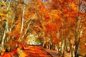 اقتصاد مقاومتی و بهره‌ وری، ضرورت حیاتی راه‌ آهن در 1405