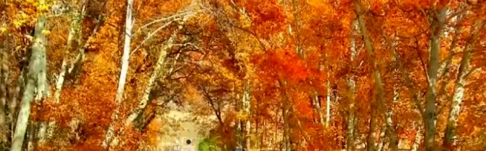 اقتصاد مقاومتی و بهره‌ وری، ضرورت حیاتی راه‌ آهن در 1405