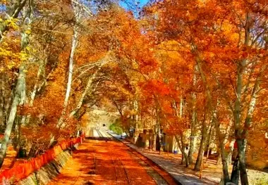 اقتصاد مقاومتی و بهره‌ وری، ضرورت حیاتی راه‌ آهن در 1405