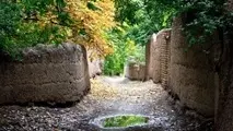 
«نوشدارو» برای «باغات» تهران
