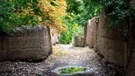 
«نوشدارو» برای «باغات» تهران
