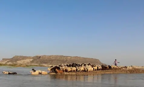 دریاچه هامون 