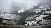 ارتفاعات البرز برفی می‌شود/وقوع بارش‌های پراکنده