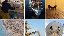 راه تحقق اقتصاد دریامحور، توسعه و شکوفا کردن ظرفیت جزایر است