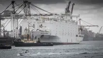 Australian Lawmaker Pushes to End Live Sheep Exports