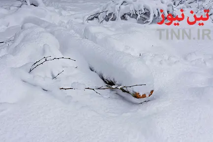 بارش سنگین برف در گیلان