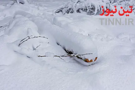بارش سنگین برف در گیلان