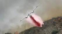 A pilot dies in the crash of his water bomber in France