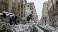(تصاویر) برف کمر درختان تهران را شکست