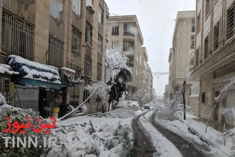 (تصاویر) برف کمر درختان تهران را شکست