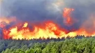آتش‌سوزی گسترده در سه منطقه از جنگل‌های گلستان