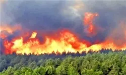 آتش‌سوزی گسترده در سه منطقه از جنگل‌های گلستان