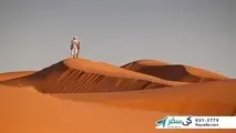 سیر تا پیاز سفر به مسقط با تورهای لحظه آخری