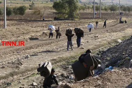 گزارش تصویری