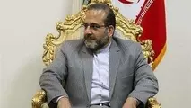 رفتار اوکراینی ها درباره سقوط هواپیما سیاسی است