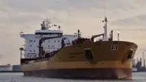 Shipowner Who Tried to Skirt Club Rules Runs Aground in Court