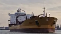 Shipowner Who Tried to Skirt Club Rules Runs Aground in Court