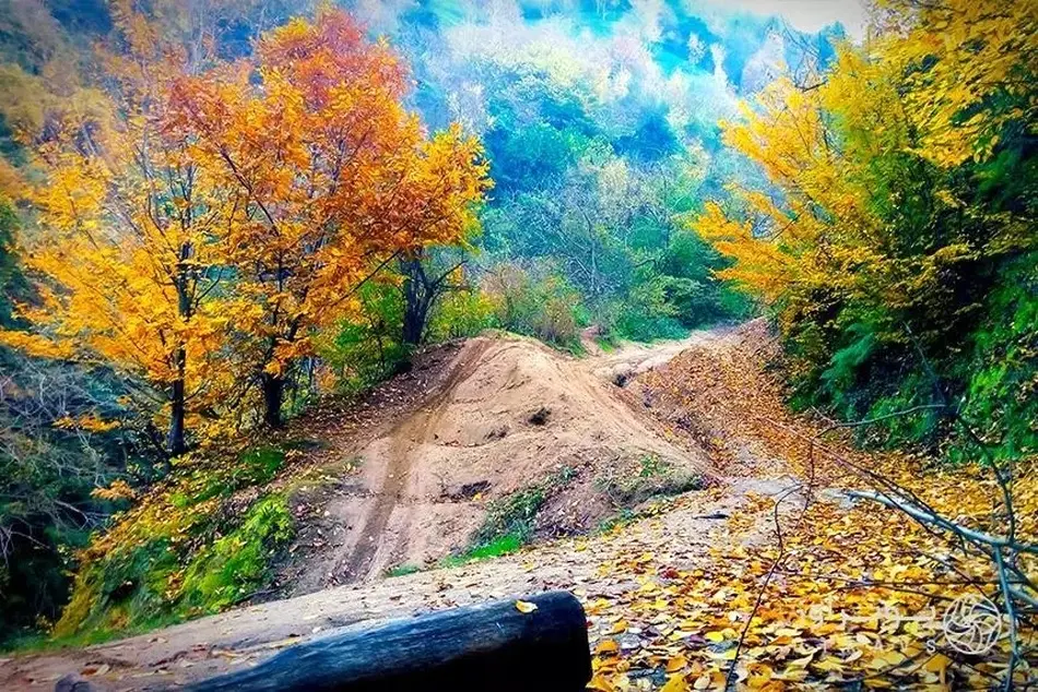 روستای پنو؛ طبیعتی بکر و کم‌ تر شناخته شده روستای لنگرود
