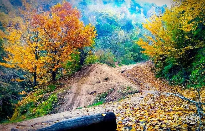 روستای پنو؛ طبیعتی بکر و کم‌ تر شناخته شده روستای لنگرود