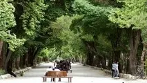 چرا کاتالیست‌ها مهم‌اند؟