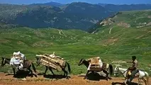 برخورد قانونی با انسداد ایل‌راه‌های عشایری استان تهران


