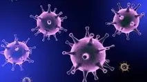 کشف جنجالی دانشمندان چینی درباره کرونا