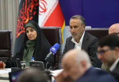 درخواست مجلس برای فعال‌ سازی فوری سامانه تم