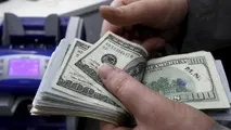 کاهش جذابیت سامانه نیما برای واردکنندگان