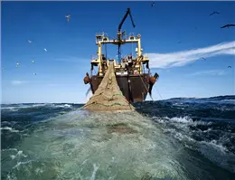 کشتی‌های ترال چینی تنها به صید ماهی‌های غیرحلال می‌پردازند