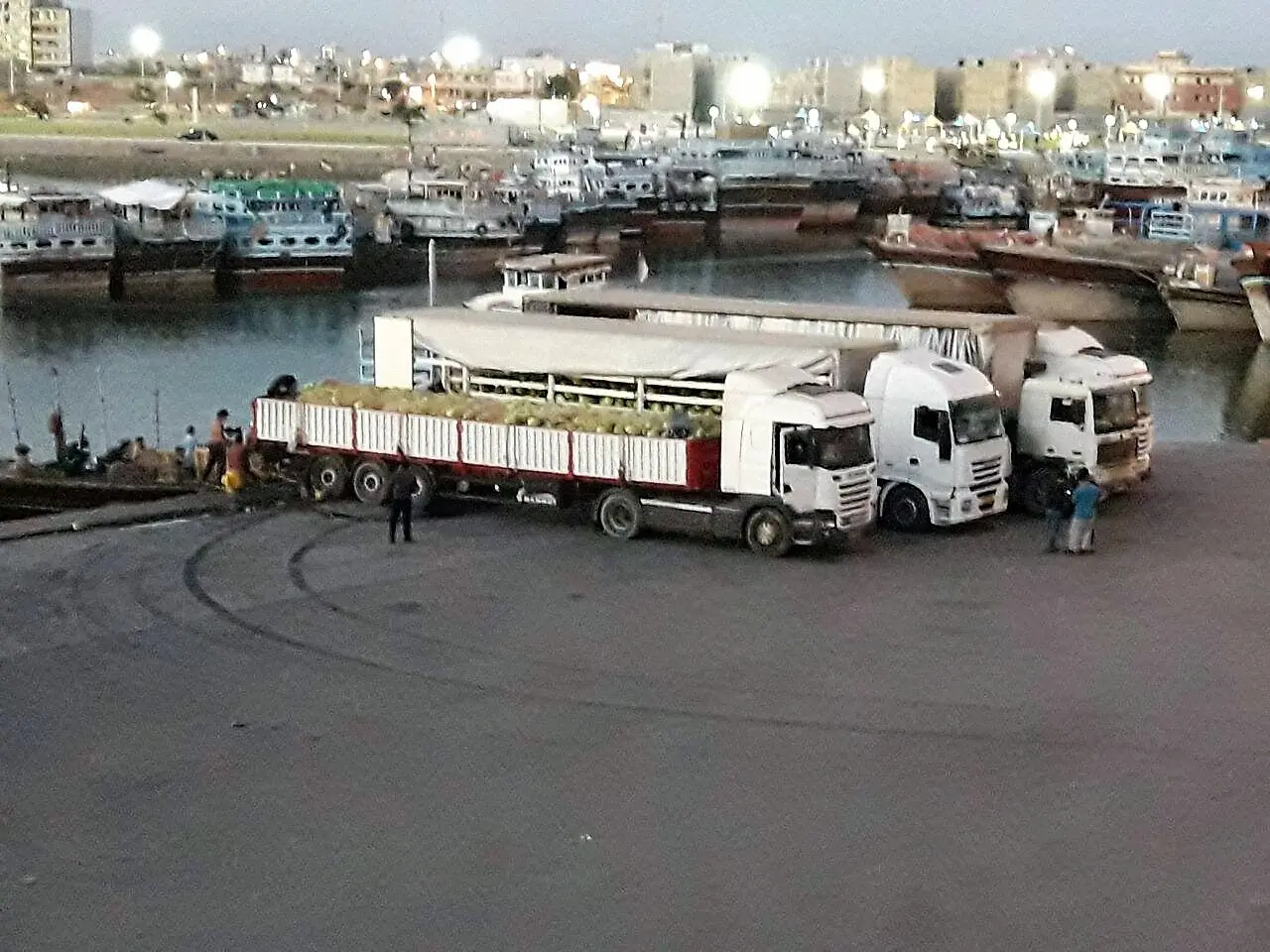 روزانه 1100 تن مواد غذایی از بنادر استان بوشهر به قطر صادر می‌شود