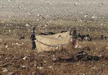 ملخ‌ها در راه کیش