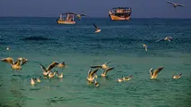 شماره موقت برای شناورهای شخصی و تفریحی در جزیره کیش صادر می‌ شود 