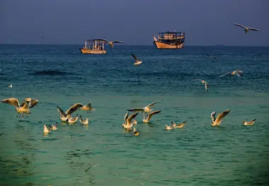 شماره موقت برای شناورهای شخصی و تفریحی در جزیره کیش صادر می‌ شود 