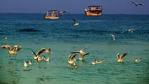 شماره موقت برای شناورهای شخصی و تفریحی در جزیره کیش صادر می‌ شود 