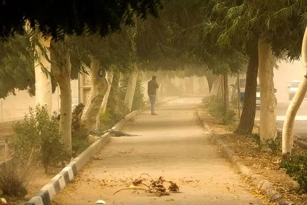 کرمان تحت تاثیر بادهای ۱۲۰ روزه؛ احتمال اختلال در جاده ها