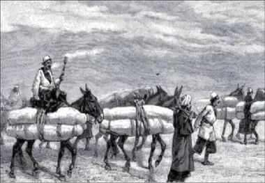 روایتی از کاروان‌های حمل جنازه که قرن‌ها پیش، از مقاصد دور عازم مشهد می‌شدند