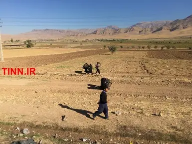 گزارش تین