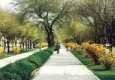 پلیس گردشگری ضرورتی برای دسترسی آسان به مقاصد گردشگری