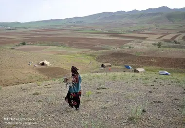 تخریب ۲۰۰ کیلومتر ایل‌راه در همدان