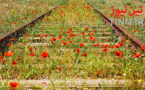 جاذبه های ریلی ایران