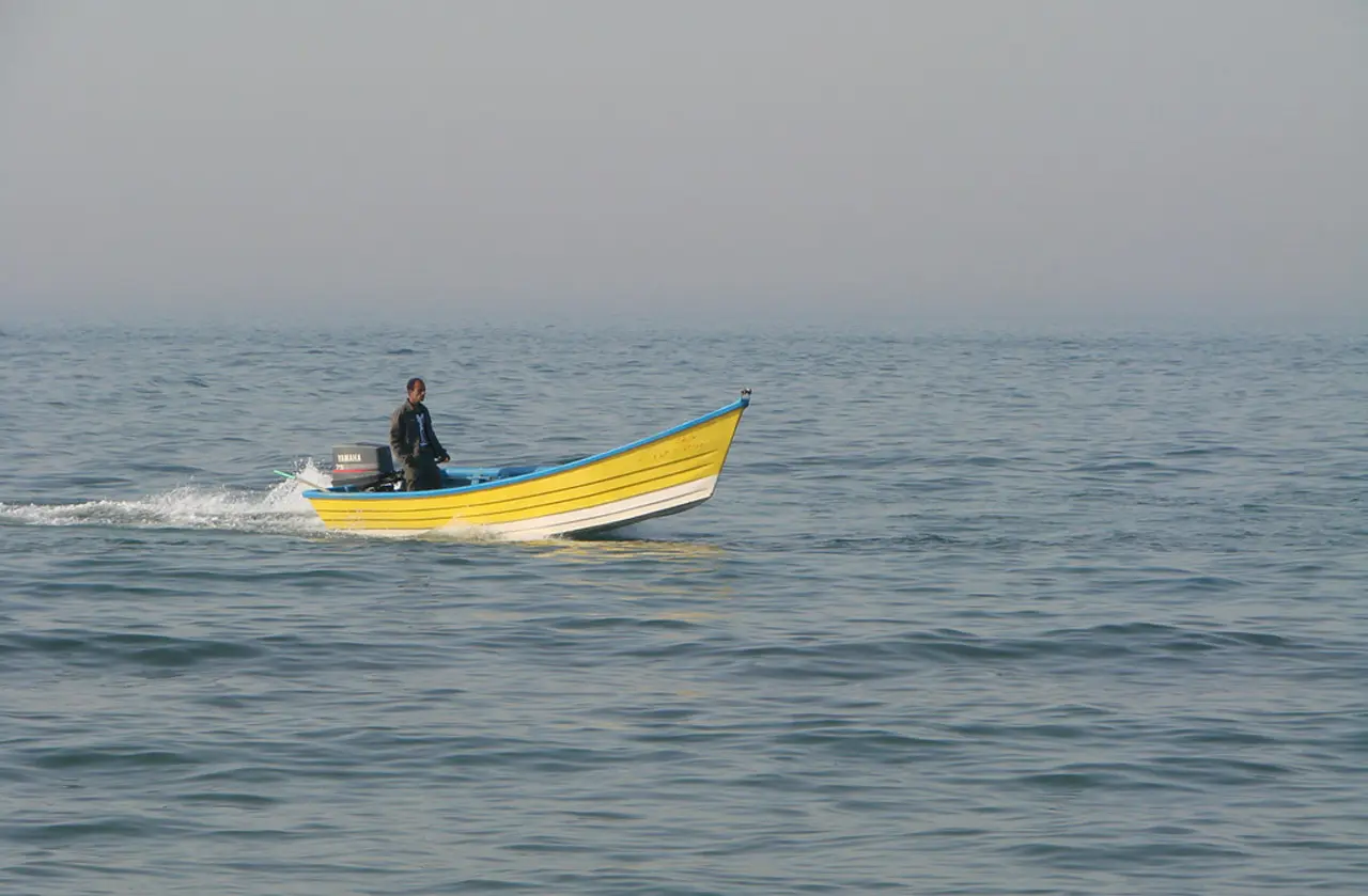 دگرگونی