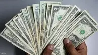 صرافان: مجمع تشخیص «پالرمو» را رد کند دلار ترمز می‌برد