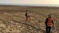 ساحل گناوه از لاستیک‌ها و ضایعات پاکسازی شد