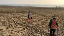 ساحل گناوه از لاستیک‌ها و ضایعات پاکسازی شد