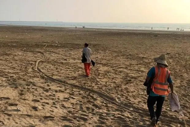 ساحل گناوه از لاستیک‌ها و ضایعات پاکسازی شد