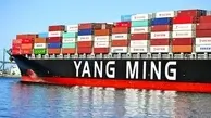 ثبت زیان سنگین در کشتیرانی یانگ مینگ