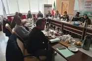  بررسی روند پیشرفت پروژه مشترک ایریکو و رجا

