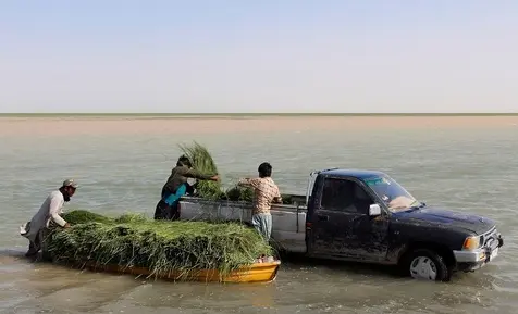 دریاچه هامون 