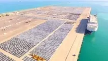 فصل رونق بنادر ابوظبی